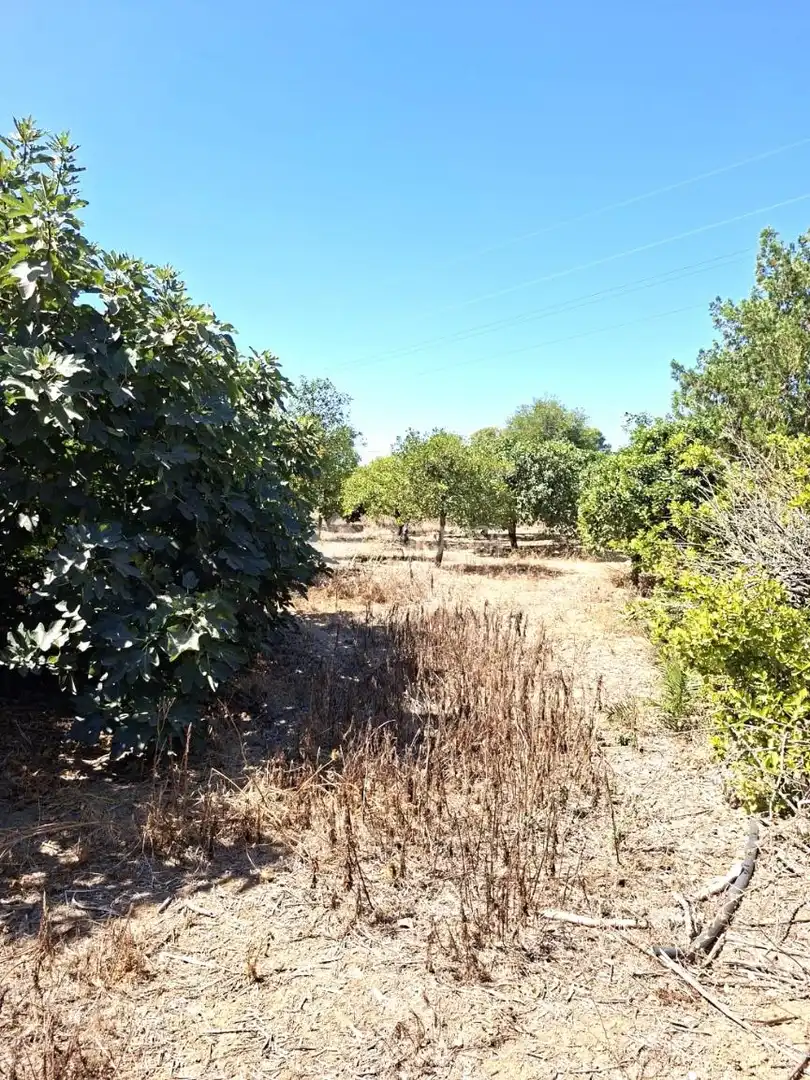 Finca rústica en venta en Almensilla con Trastero