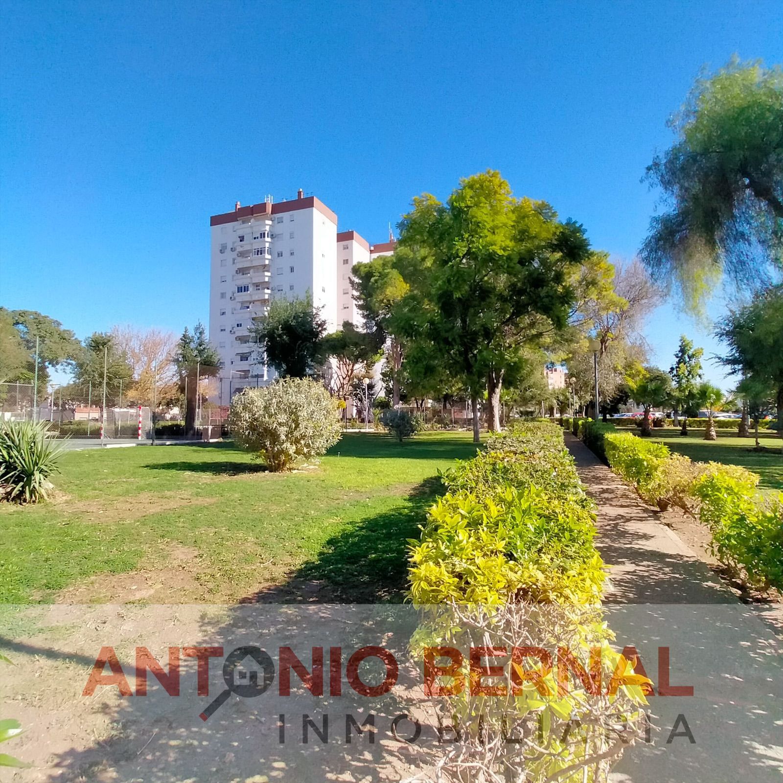 Vista exterior de Pis en venda en Jerez de la Frontera amb Aire condicionat, Terrassa i Moblat
