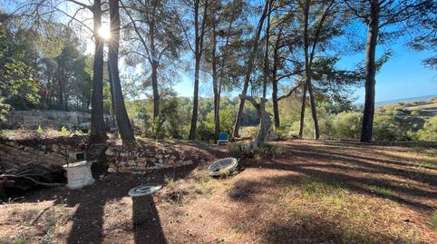 Foto 4 de Finca rústica en venda a Calvià pueblo, Calvià