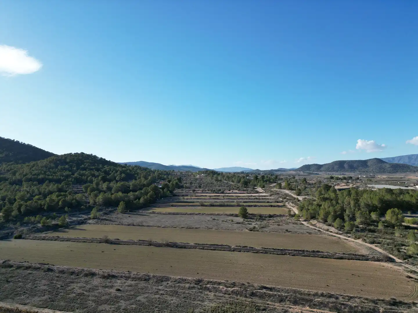 Terreny residencial en venda a Monóvar  / Monòver, imagen 8