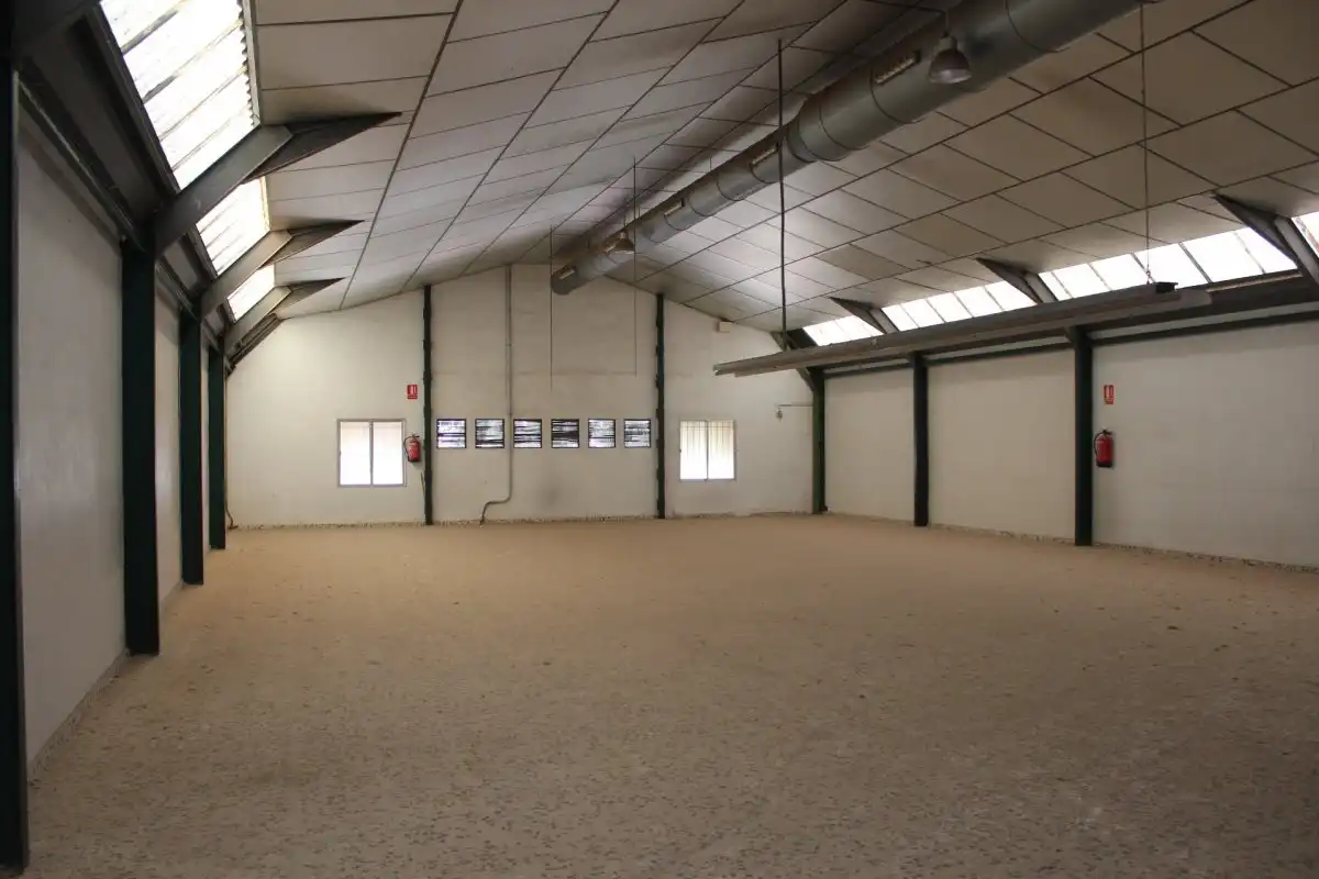 Nave industrial en alquiler en Elche ciudad, imagen 9