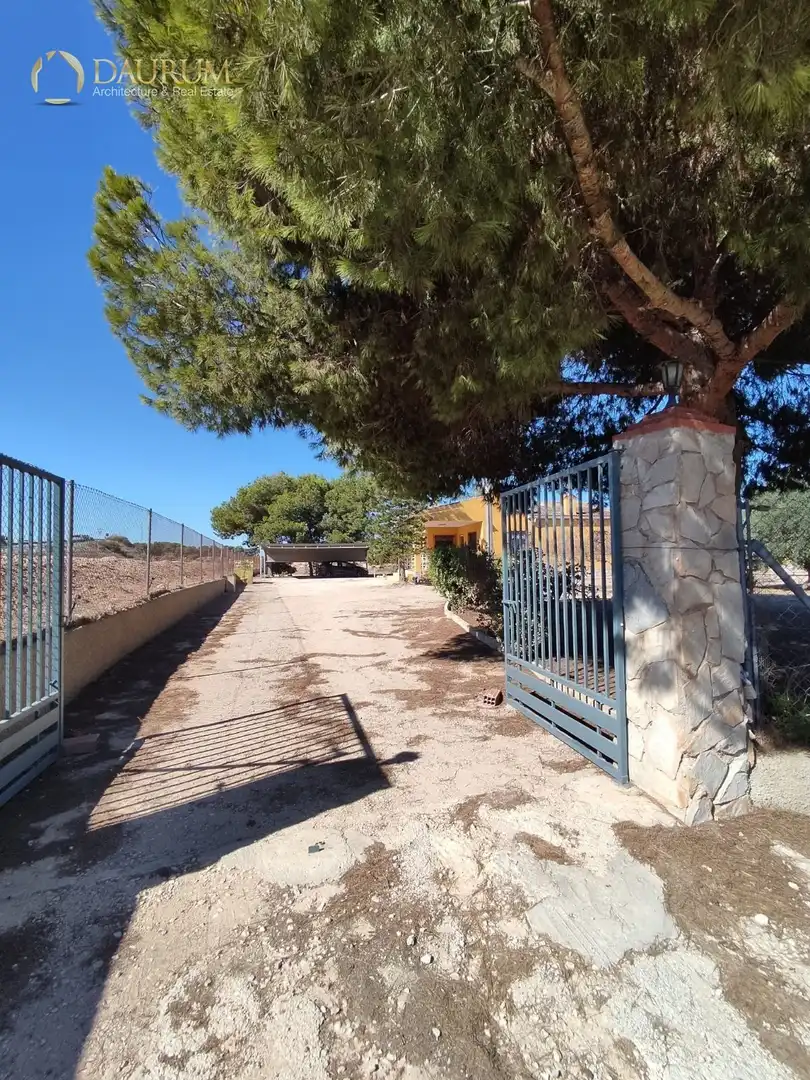 Vista exterior de Casa o chalet en venta en Elche / Elx