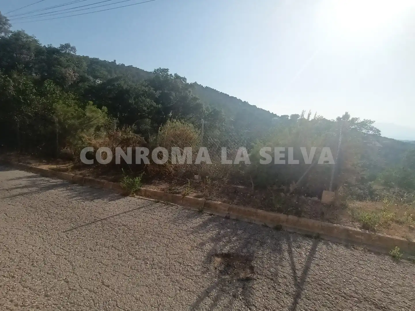 Residential land for sale in Montbarbat, imagen 10