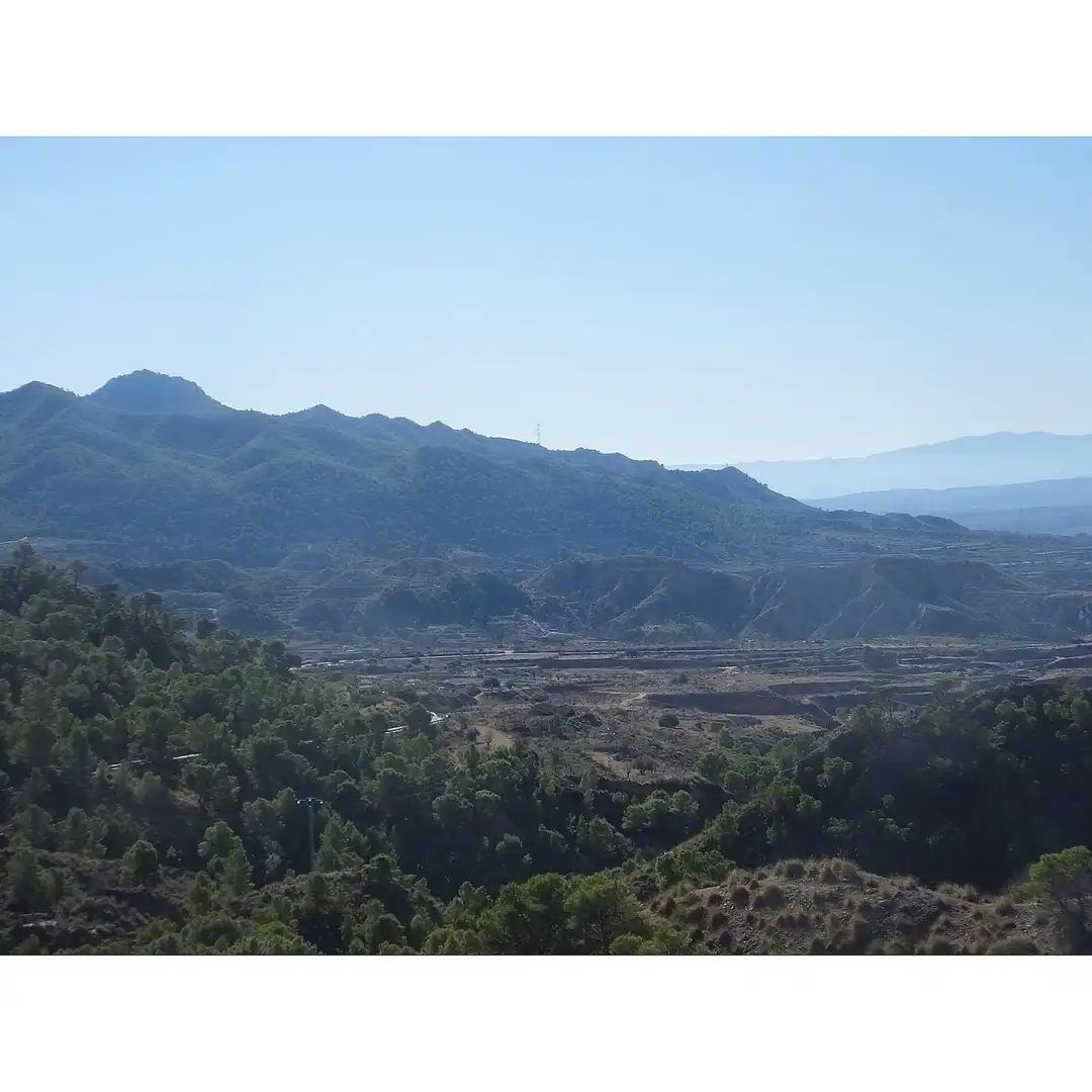 Lands and plots for sale in Abanilla, imagen 10
