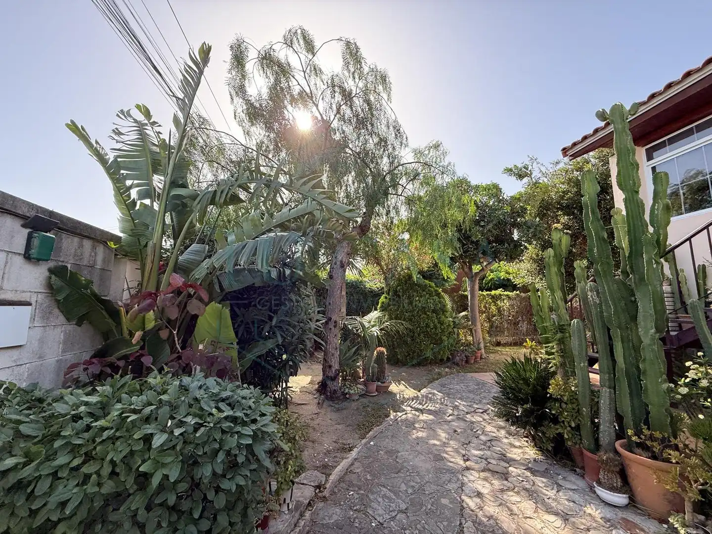 Jardí de Casa o xalet en venda en Chiclana de la Frontera