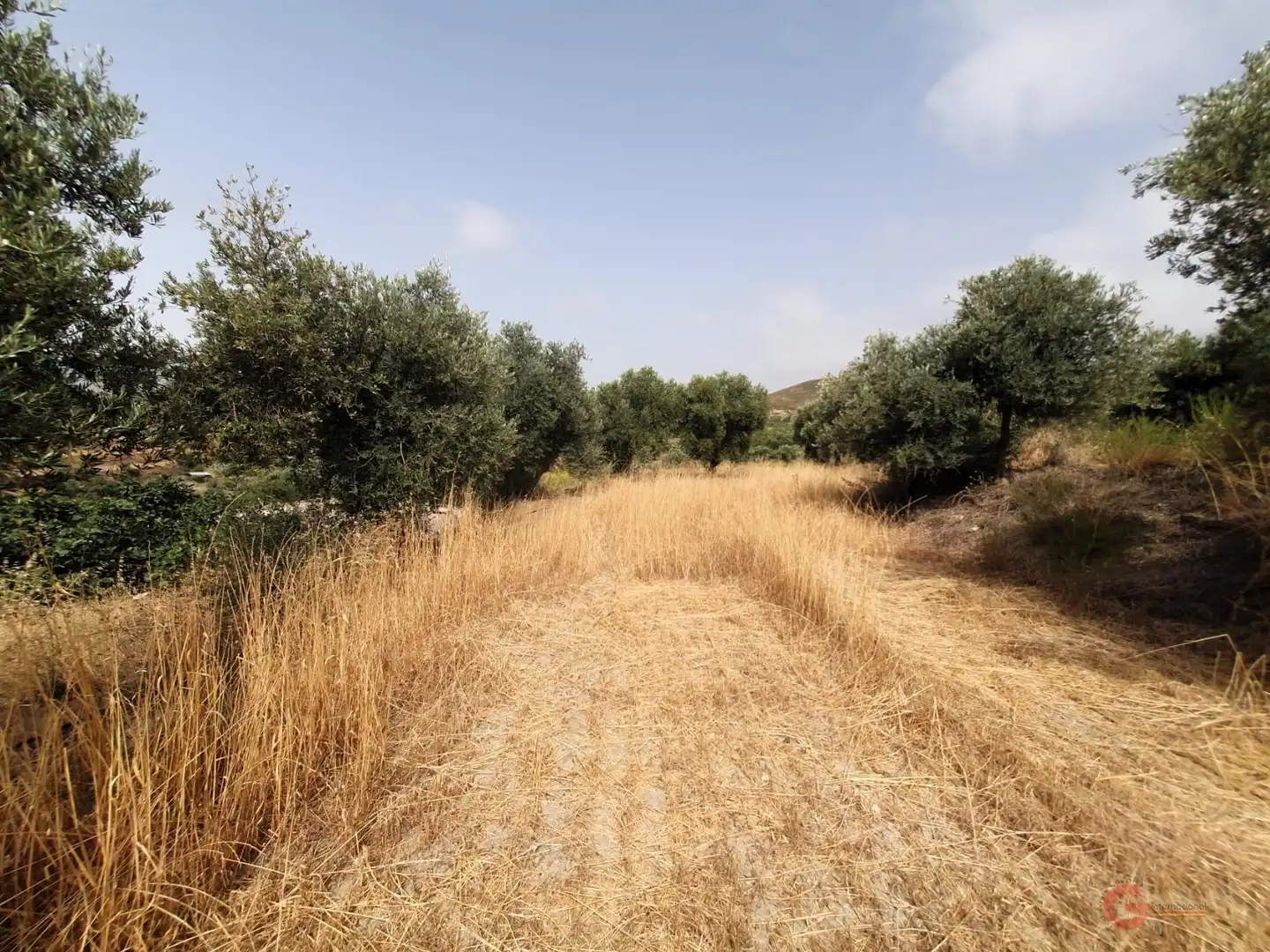 Casa rústica en venda a Lanjarón, imagen 10