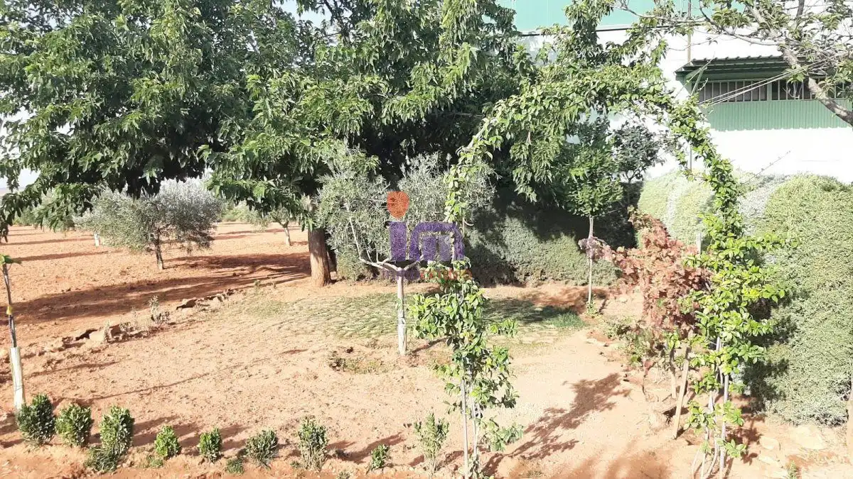 Casa rústica en venda a Valdepeñas, imagen 16