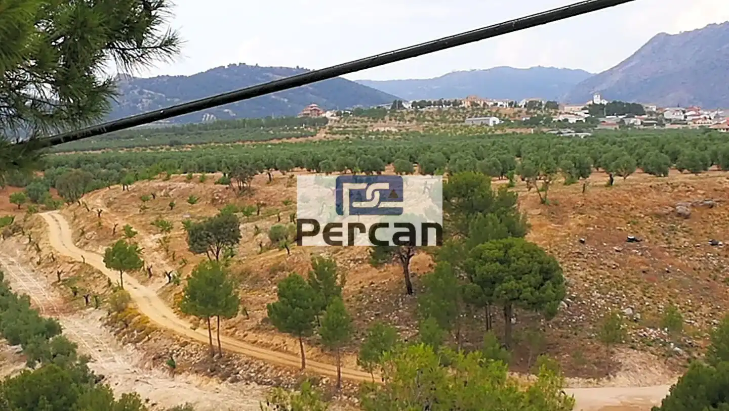 Residencial en venta en Cortes de Baza
