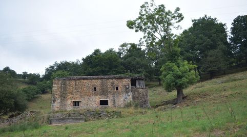 Venta de Cabaña en Selaya, imagen 4