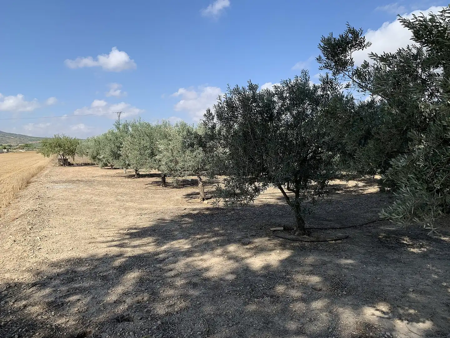 Casa o xalet en venda en Caudete amb Jardí privat i Internet