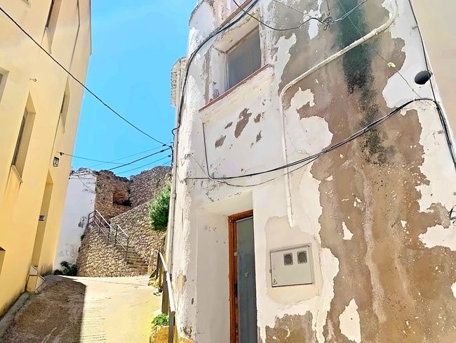 Exterior view of House or chalet for sale in Alfara de Carles