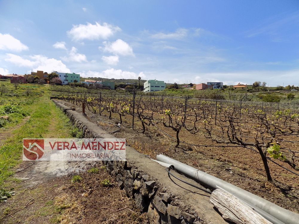 Country house zum verkauf in SALTO DEL GATO, El Sauzal