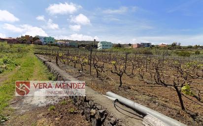 Finca rústica en venda en El Sauzal