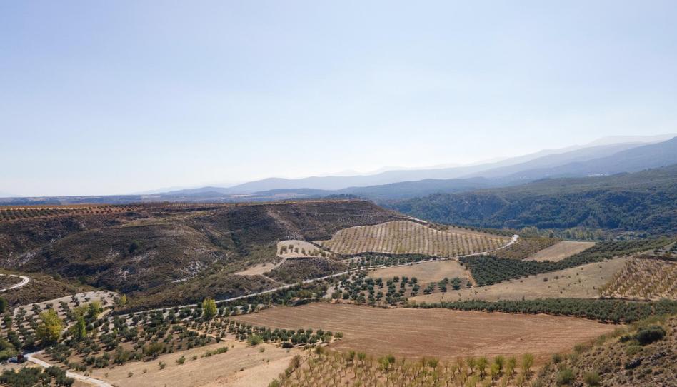 Photo 1 of Country house for sale in Vereda Morollon, La Peza, Granada