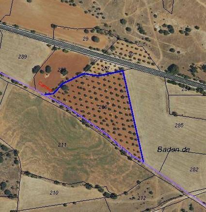 Terreno en Venta en Calle Cruz en Villar del Olmo