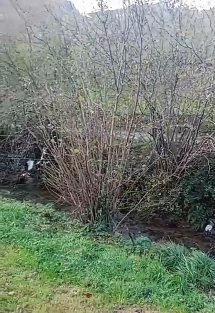 Terreno residenziale in vendita a Arredondo, imagen 4