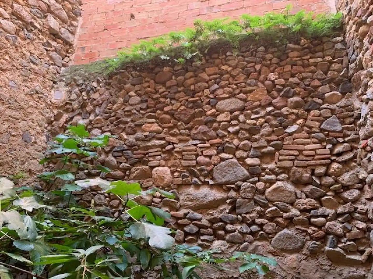 Jardí de Casa o xalet en venda en L'Aleixar amb Balcó