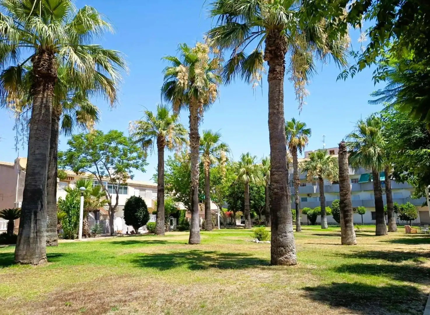 Jardí de Apartament en venda en Orihuela amb Aire condicionat, Calefacció i Terrassa