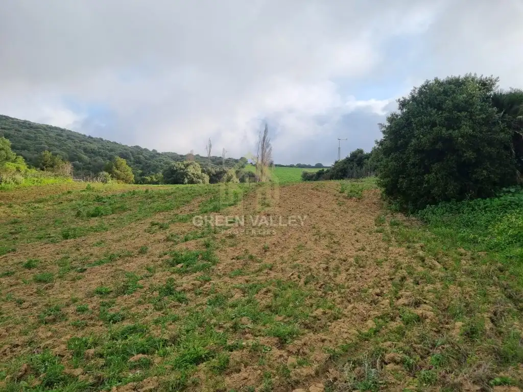 Casa o chalet en venta en Casares pueblo