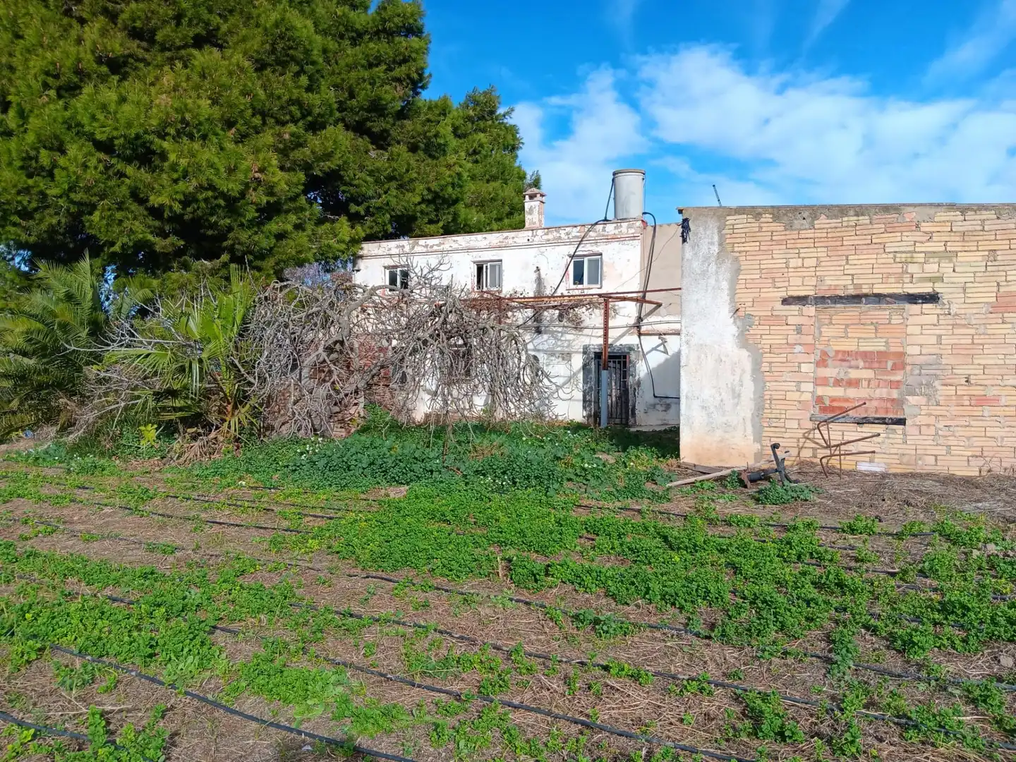 Maison à vendre à Roquetes, imagen 2