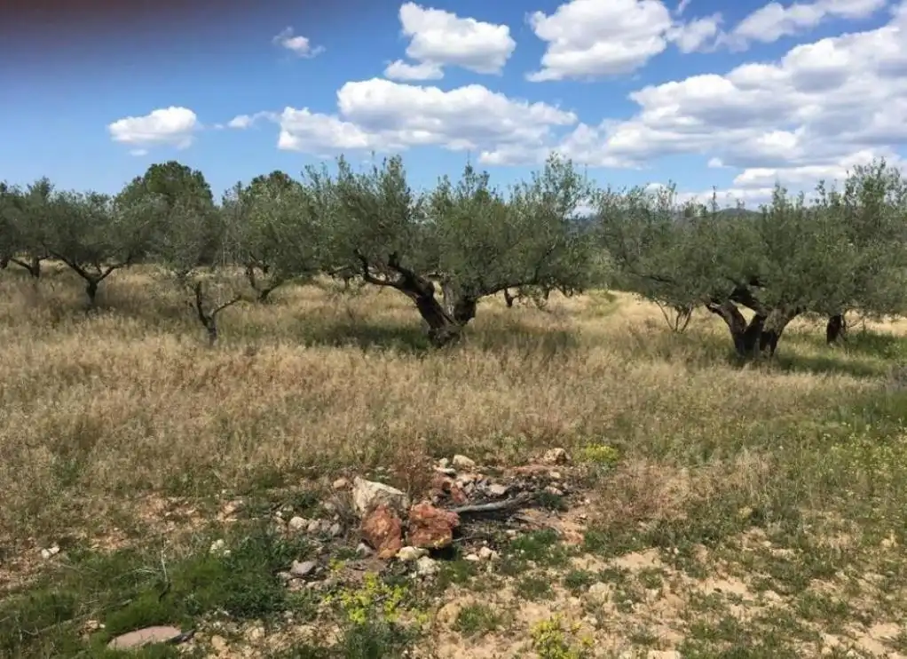 Terreno residenziale in vendita a Loma (La), imagen 2