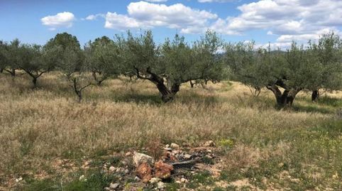 Foto 2 de Residencial en venta en Loma (la), Segorbe, Castellón