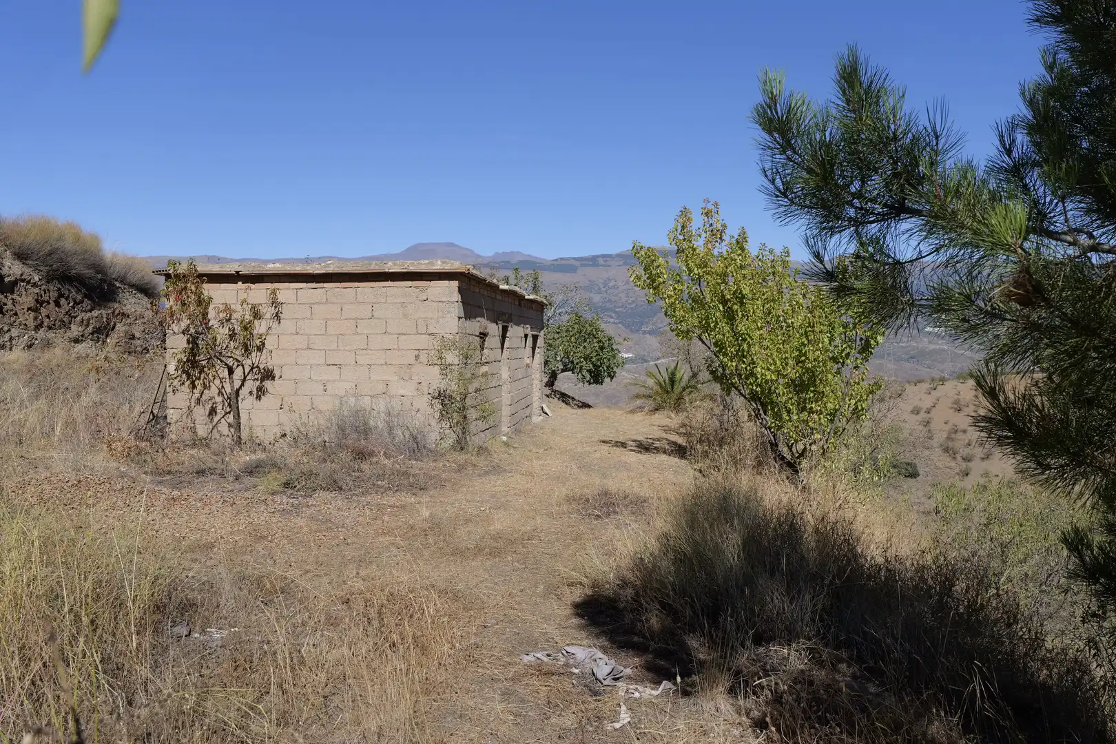Vista exterior de Finca rústica en venta en Cádiar