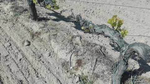 Photo 5 of Land for sale in Plaza la Iglesia, 2, Cazurra, Zamora