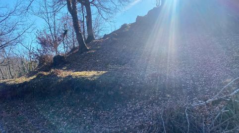 Finca 2.300 m2 garrotxa
