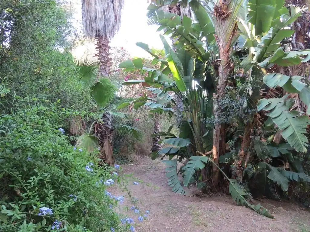 Jardín de Casa o chalet en venta en Mijas con Aire acondicionado, Terraza y Piscina