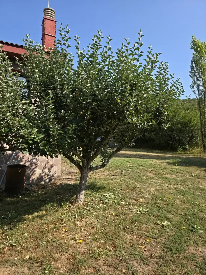 Casa o chalet en venta en Cervera de Pisuerga, Palencia
