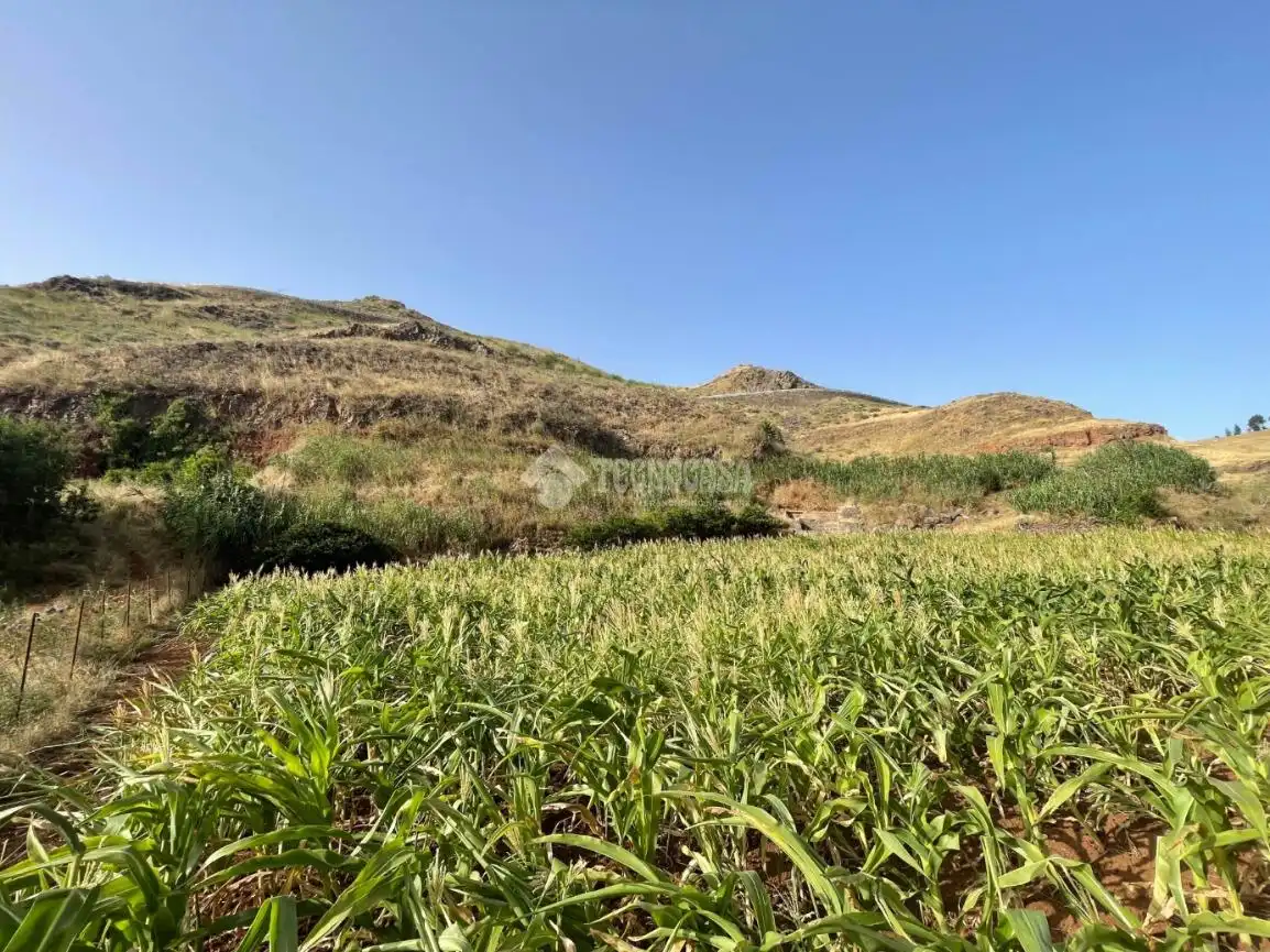 Terreno en venta en Gáldar