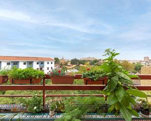 Garden of Flat for sale in  Sevilla Capital  with Air Conditioner and Terrace