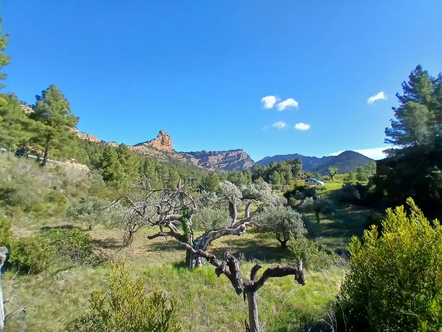 Land for sale in Prat de Comte