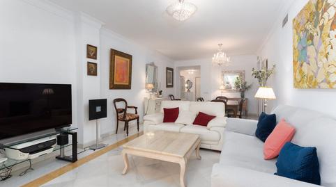 Photo 4 of Planta baja for rent in Centro Histórico, Málaga Capital