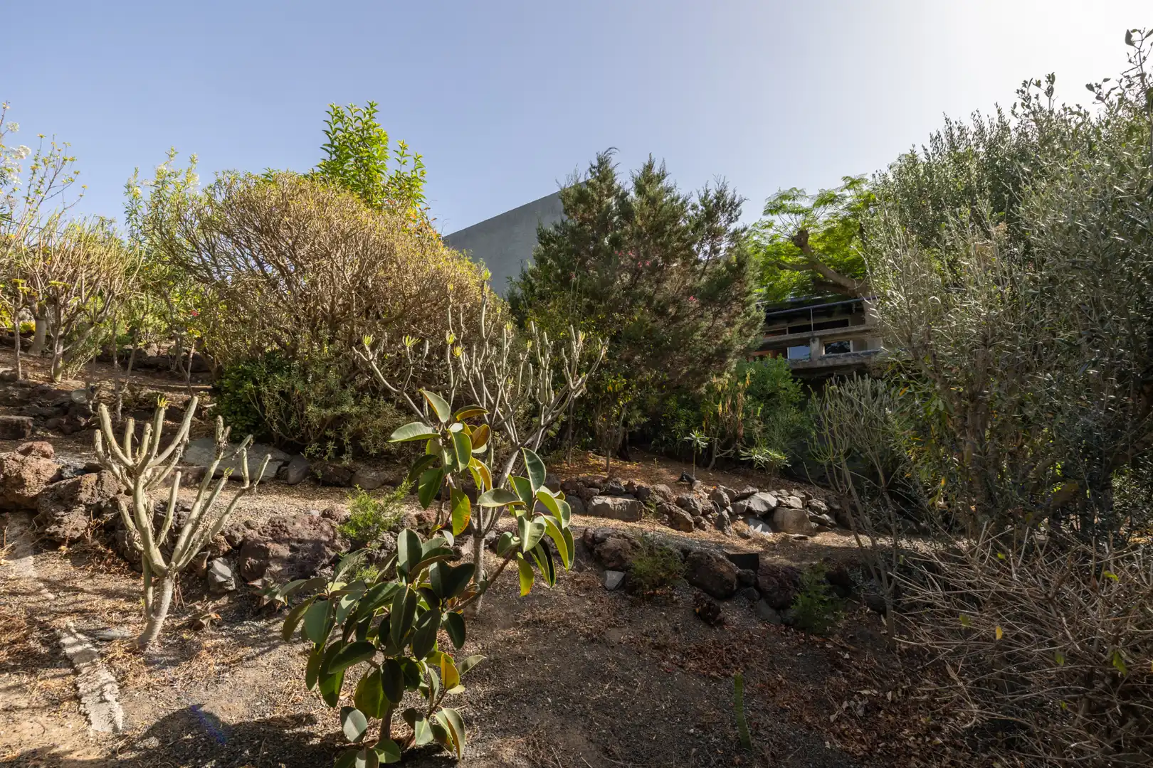 Vista exterior de Casa o xalet en venda en Vegueta - Cono Sur - Tafira