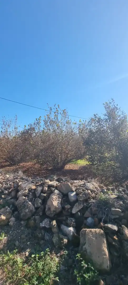 Terreno en venta en Vilallonga del Camp