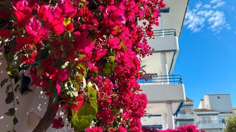 Foto 5 de Apartament en venda a Alcossebre, Alcalà de Xivert