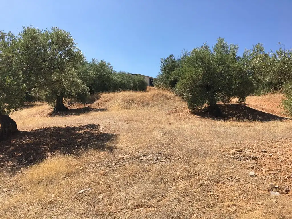 Terreni e lotti in vendita a Torres, imagen 3