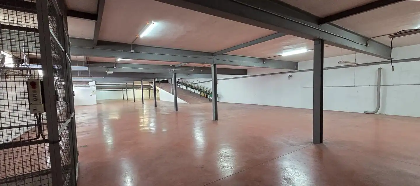 Nave industrial de alquiler en Elche / Elx