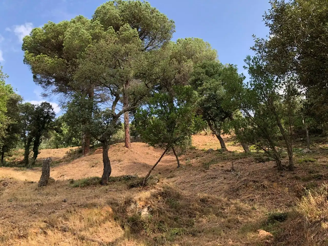 Residencial en venta en Carrer Muntanya, Niàgara Parc - Ágora Parc