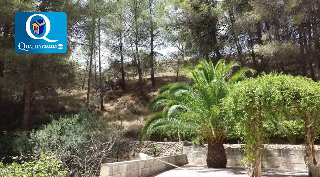 Villa à vendre à Onil, imagen 7