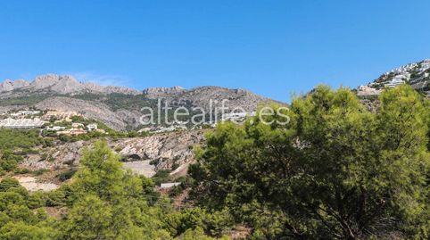 Parcela Urbana de 1182 m2 en la zona de Mascarat , imatge 4