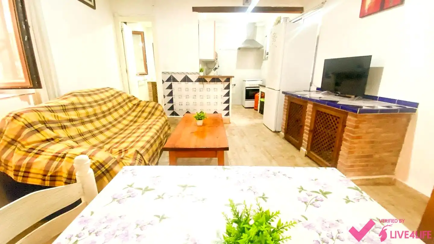 Sala d'estar de Planta baixa de lloguer en Granada amb Terrassa i Moblat