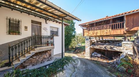 Foto 4 de Casa o xalet en venda a Tineo - Lg Piñera de San Felix, 4, Tineo, Asturias
