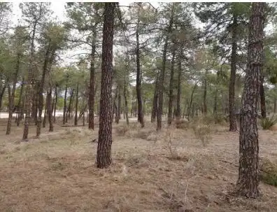 Residencial en venta en Arévalo