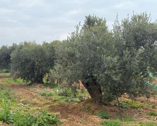 Country house for sale in Altafulla