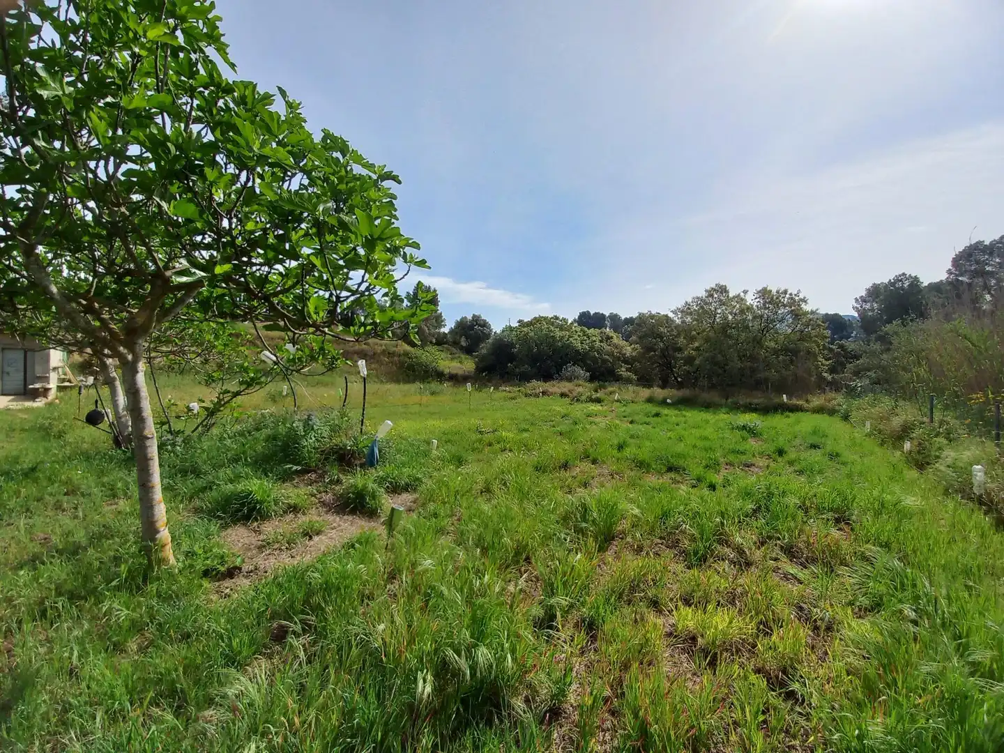 Rural land for sale in Ginestar, imagen 57