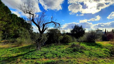 Foto 4 de Finca rústica en venta en Binissalem, Illes Balears