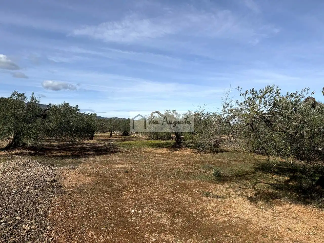 Terreno rustico in vendita a Burgà, imagen 6